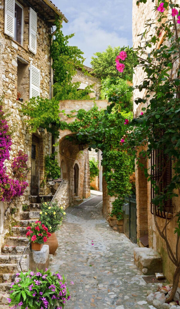 Vicolo di pietra con fiori e piante Vicolo di pietra con fiori e piante