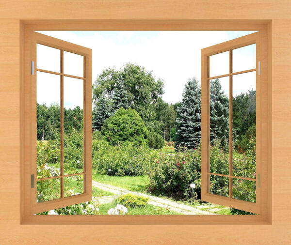 Finestra con alberi e sentiero u60673p 600x506 - Finestra con alberi e sentiero