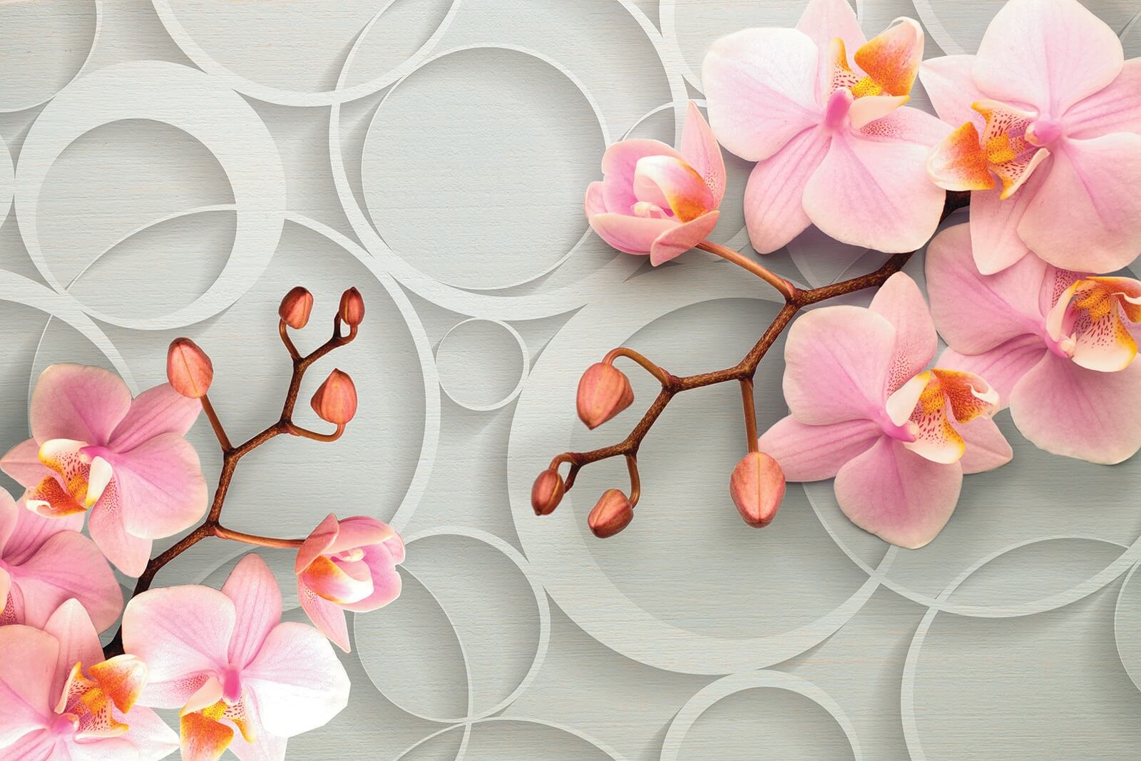 u66595p - Delicate fioriture su uno sfondo morbido - tegory