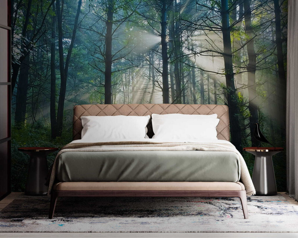 u70959pib1m 1024x819 - Il sole che illumina gli alberi di una foresta - tegory