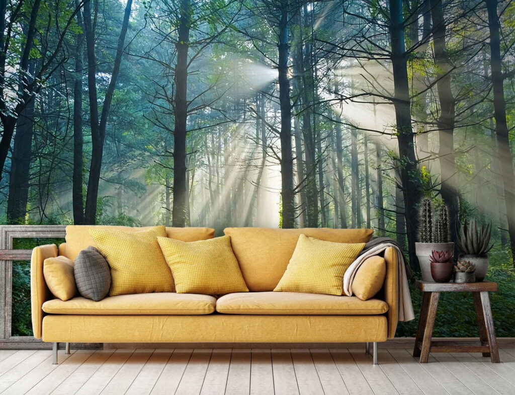 u70959pig1 1024x785 - Il sole che illumina gli alberi di una foresta - tegory