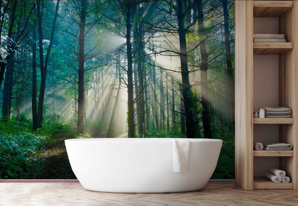 u70959pit1 1024x709 - Il sole che illumina gli alberi di una foresta - tegory