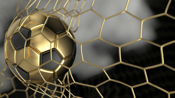 Palla da calcio in una rete Palla da calcio in una rete