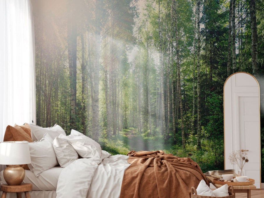 Sentiero attraverso una foresta di alberi