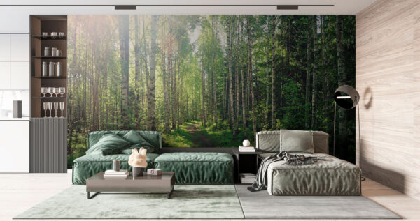 Sentiero attraverso una foresta di alberi Sentiero attraverso una foresta di alberi
