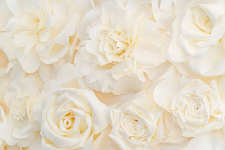 Carta da parati Gruppo di fiori bianchi - immagine 4