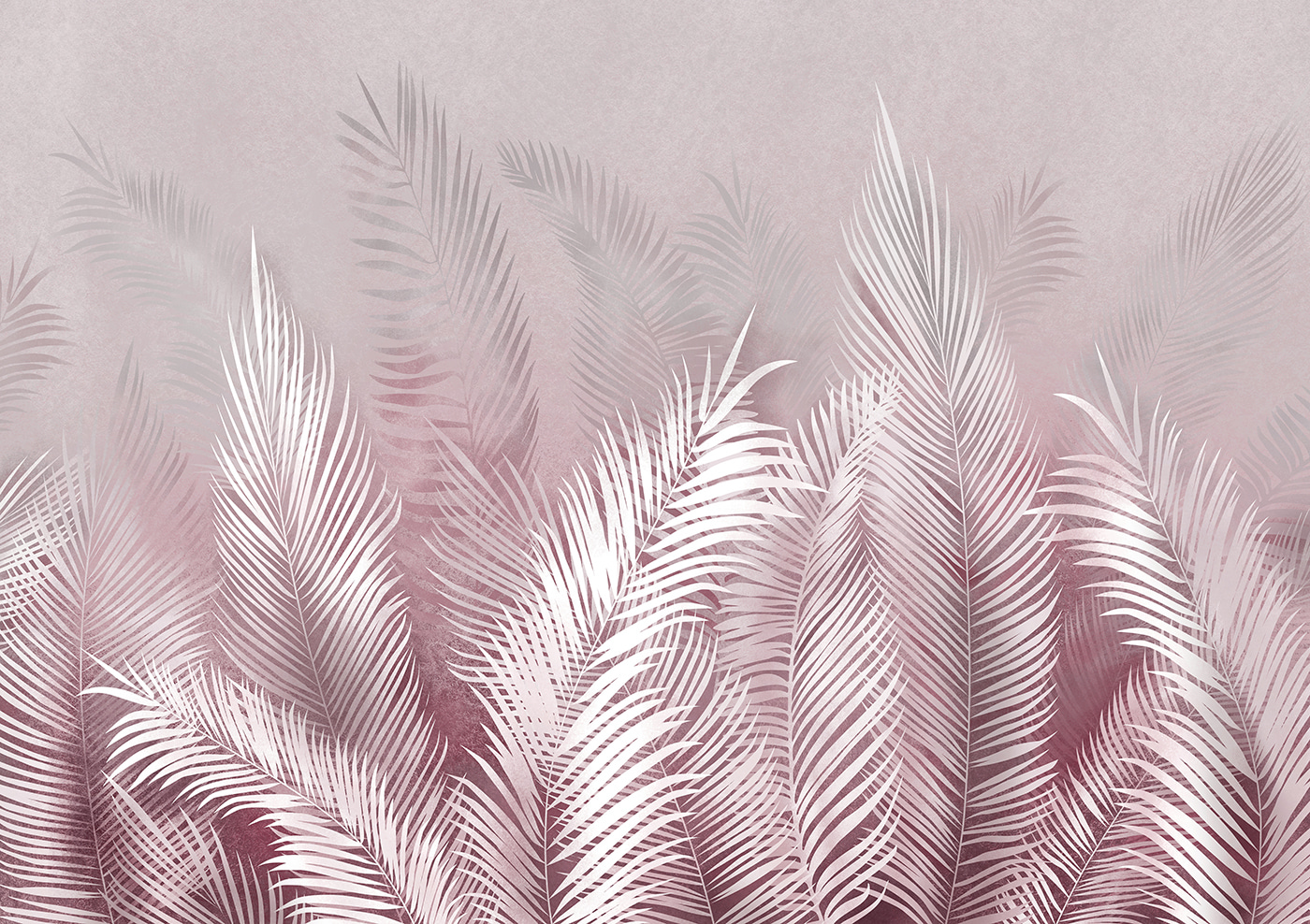 A white feathers on a pink background