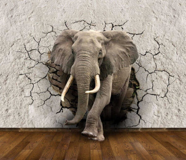 Un elefante che attraversa un muro Un elefante che attraversa un muro
