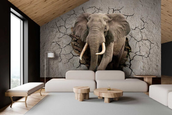 Un elefante che attraversa un muro Un elefante che attraversa un muro
