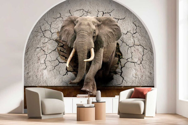 Un elefante che attraversa un muro Un elefante che attraversa un muro