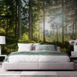 Carta da parati Il sole che illumina gli alberi