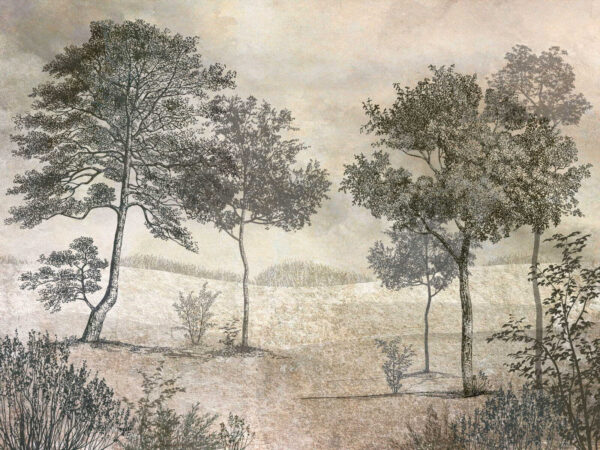 Disegno di alberi in un campo Disegno di alberi in un campo