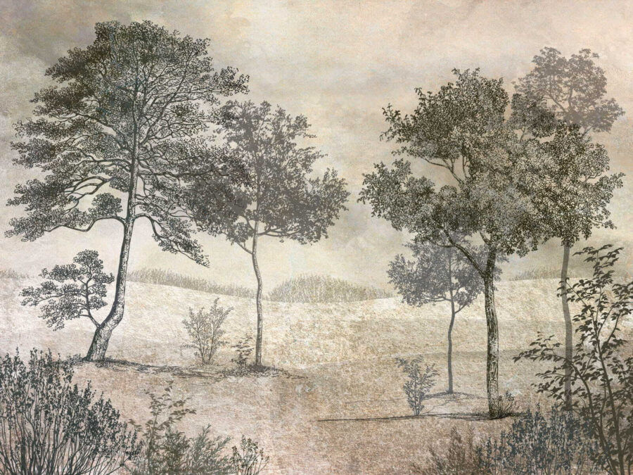 Disegno di alberi in un campo Disegno di alberi in un campo
