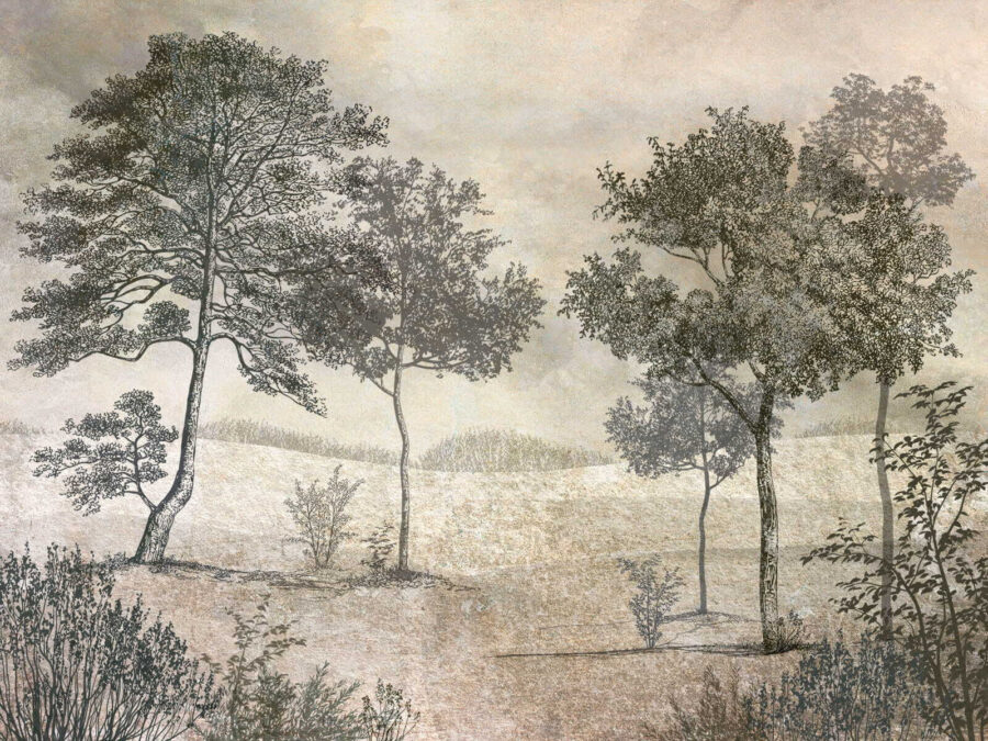 Disegno di alberi in un campo