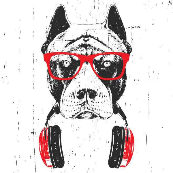 Un cane con occhiali e cuffie Un cane con occhiali e cuffie