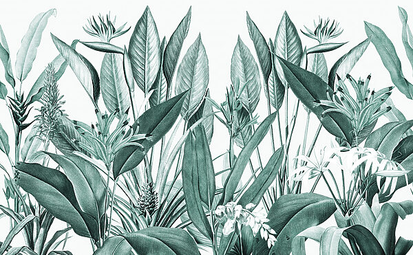 Tropical foliage in harmonious greens Tropical foliage in harmonious greens