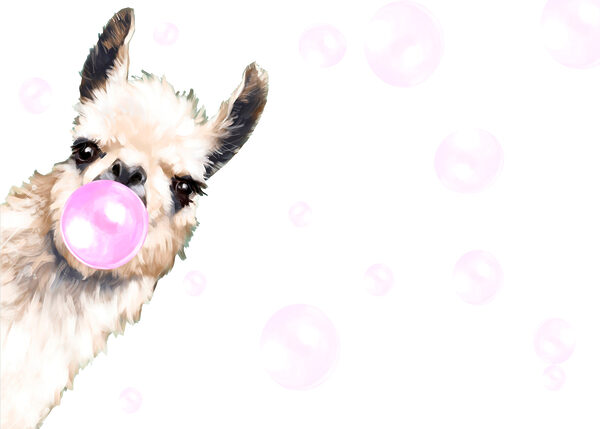 Un lama che soffia una bolla di sapone Un lama che soffia una bolla di sapone