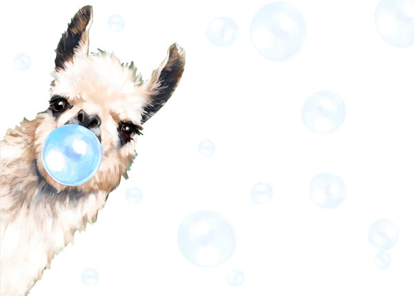 Un lama che soffia bolle di sapone Un lama che soffia bolle di sapone