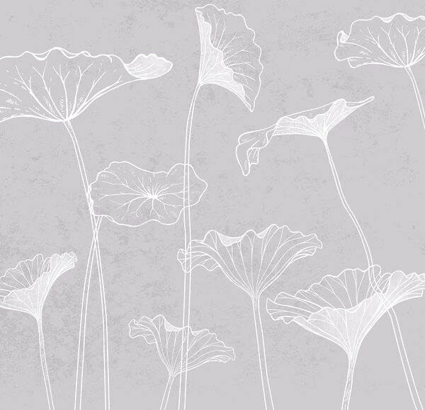 A white flowers on a gray background A white flowers on a gray background