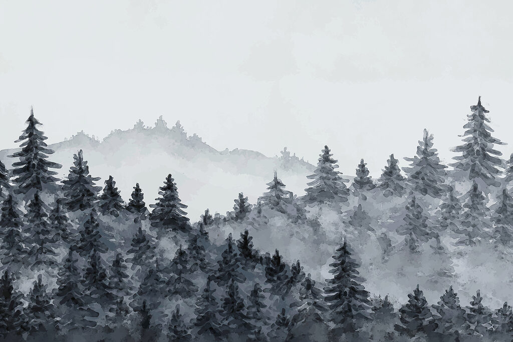 A foggy forest with trees