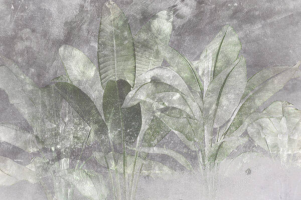 Eleganza botanica in texture morbide. Eleganza botanica in texture morbide.