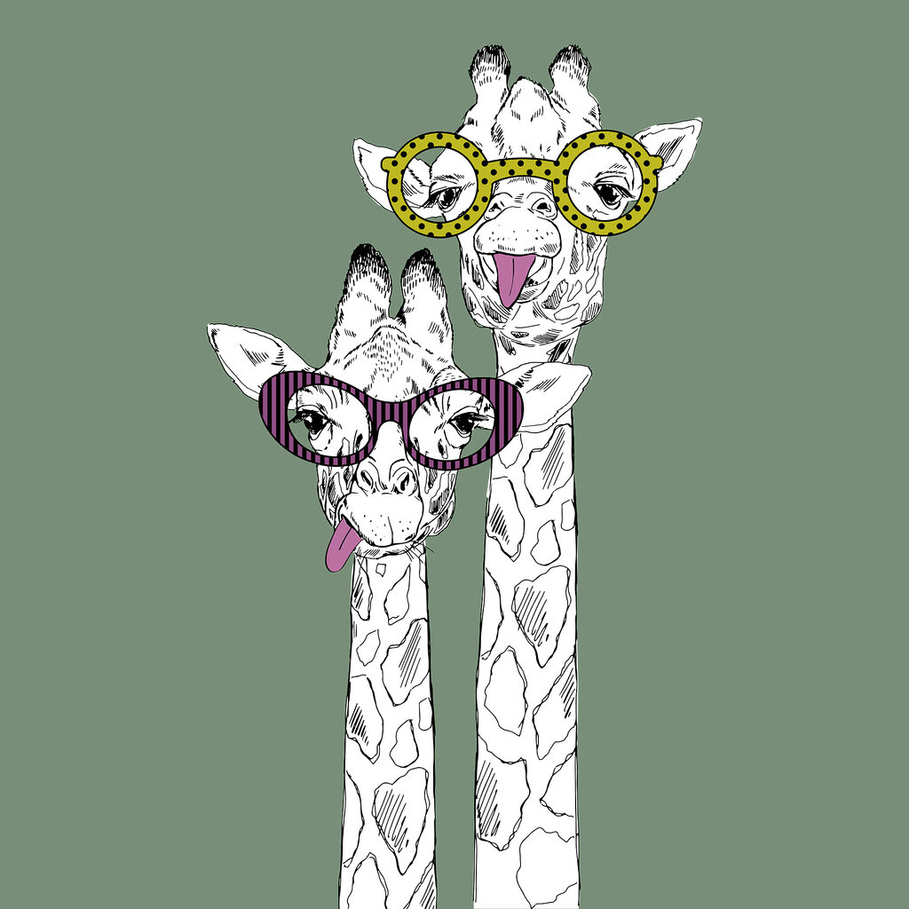 A couple of giraffes wearing glasses A couple of giraffes wearing glasses