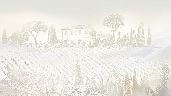 Disegno di una casa e di alberi Disegno di una casa e di alberi