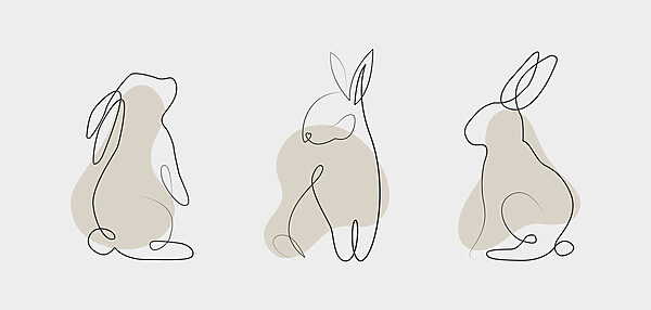 Il disegno di un coniglio Il disegno di un coniglio