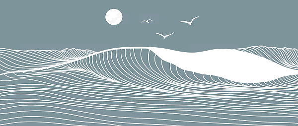 Waves and birds in the sky Waves and birds in the sky