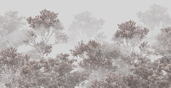 Un gruppo di alberi con foglie Un gruppo di alberi con foglie