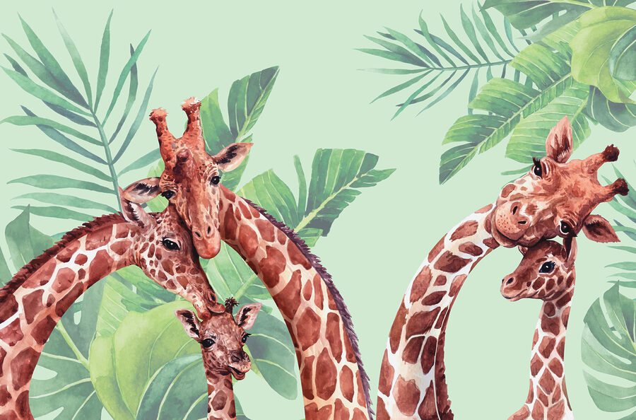 Un gruppo di giraffe con la testa unita Un gruppo di giraffe con la testa unita
