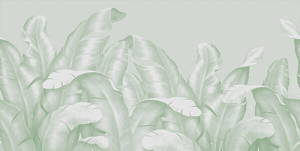 A close up of leaves A close up of leaves