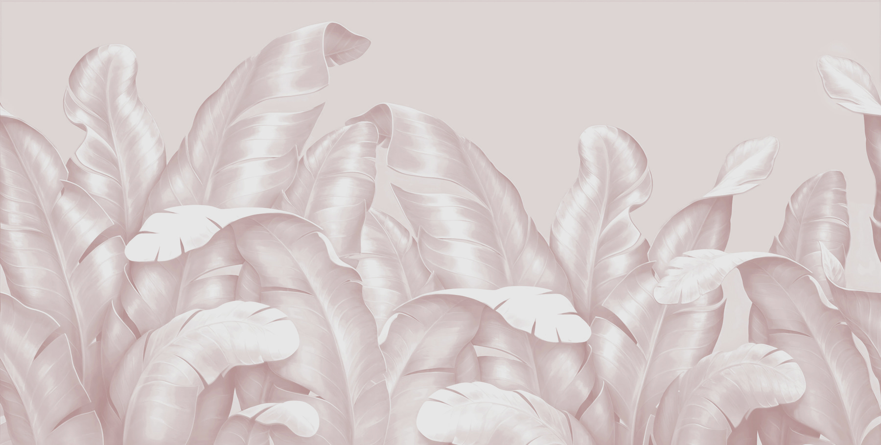 A close up of leaves