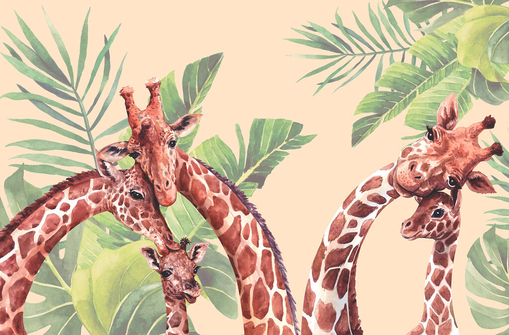 Un gruppo di giraffe dal lungo collo Un gruppo di giraffe dal lungo collo