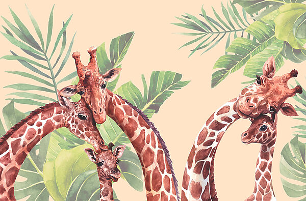 Un gruppo di giraffe dal lungo collo Un gruppo di giraffe dal lungo collo