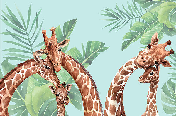 Un gruppo di giraffe con la testa unita Un gruppo di giraffe con la testa unita