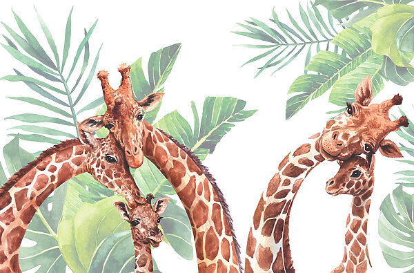 Un gruppo di giraffe con la testa davanti alle foglie Un gruppo di giraffe con la testa davanti alle foglie