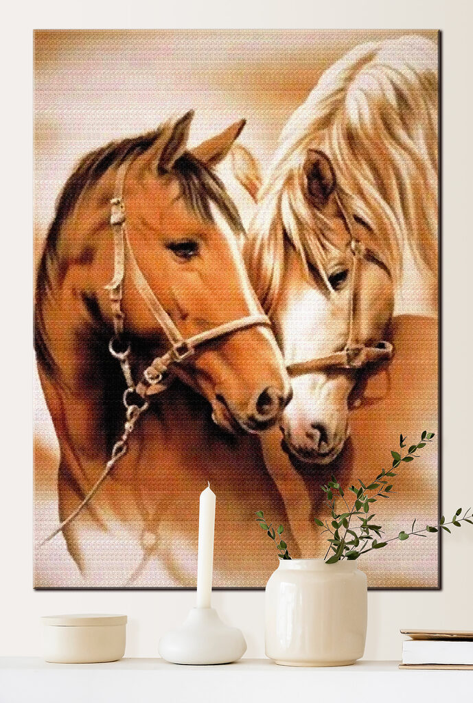 A close up of two horses