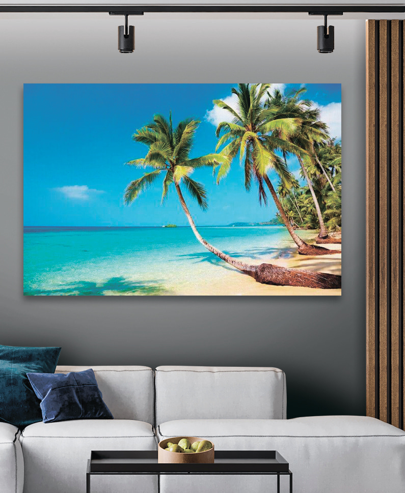 Palm trees on a beach
