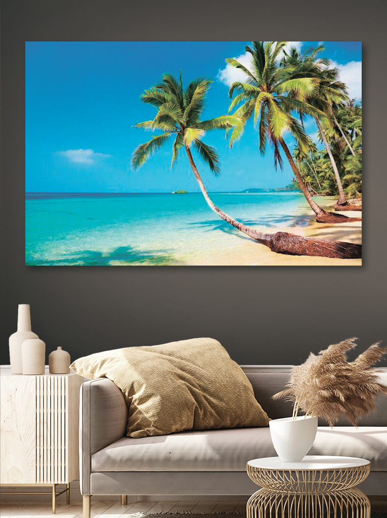 Palm trees on a beach
