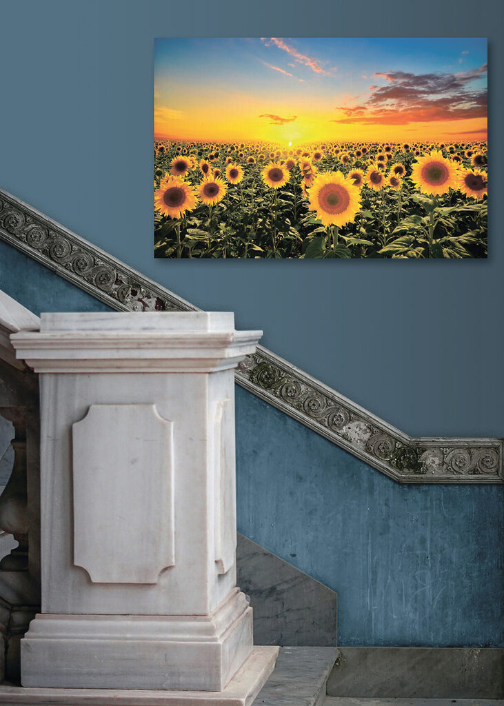 A field of sunflowers and a sunset