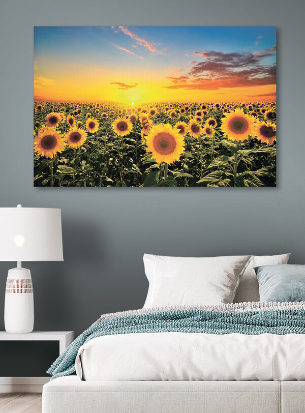 A field of sunflowers and a sunset