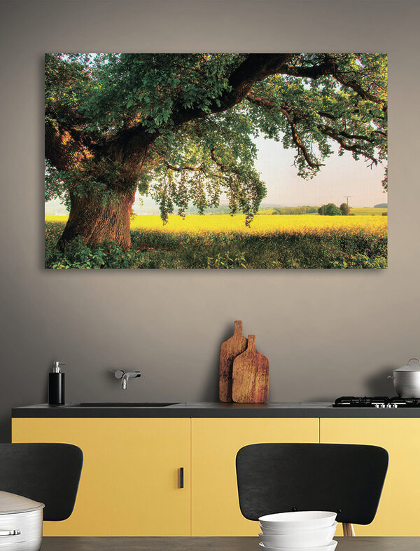 Quadri Quadri Un albero in un campo (COD: s15283)