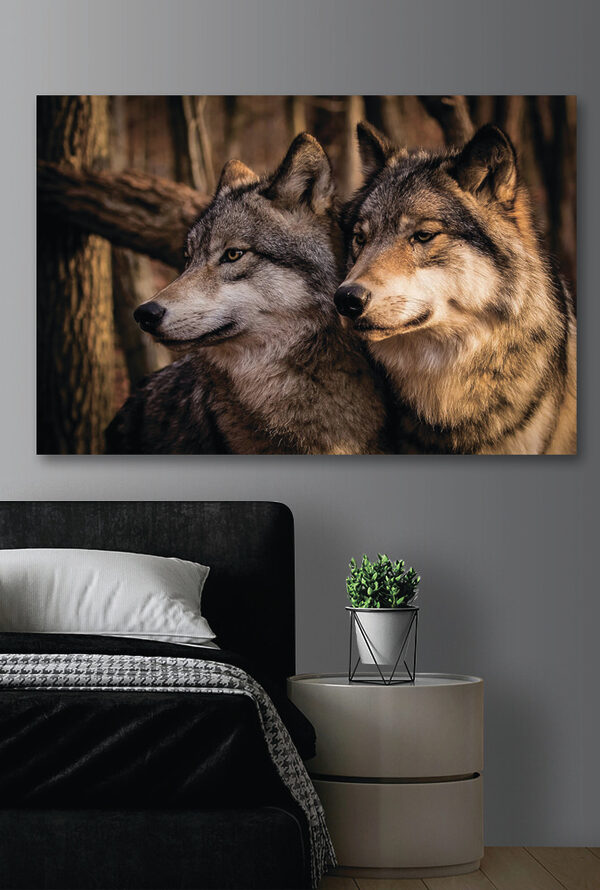A couple of wolves in the woods