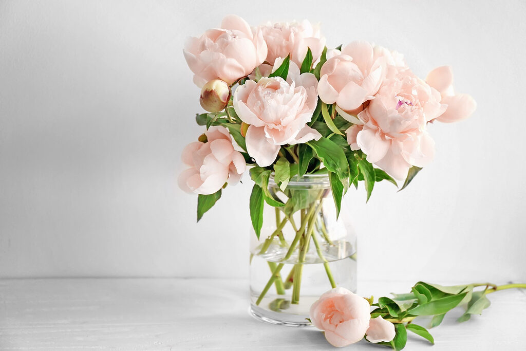 A vase of pink flowers