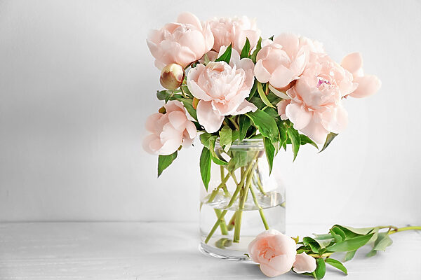 A vase of pink flowers
