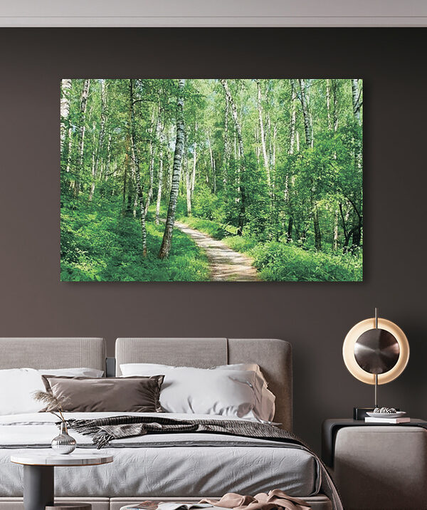 Quadri A path through a forest (COD: s17991)
