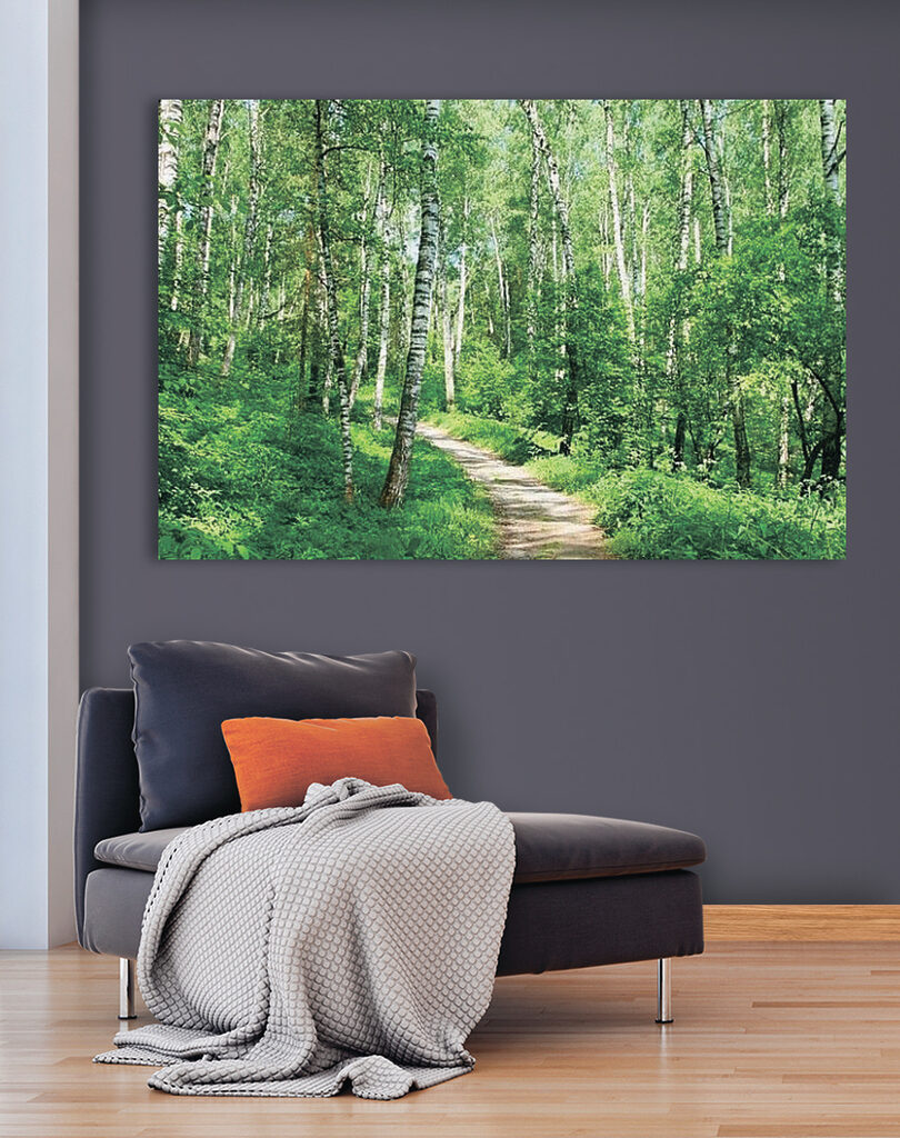 A path through a forest