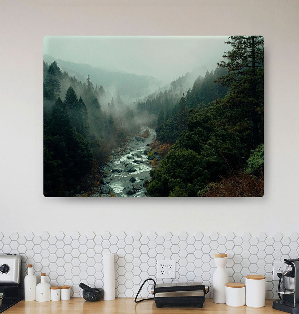 A river running through a forest