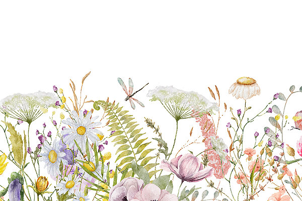 A watercolor of flowers and dragonflies A watercolor of flowers and dragonflies